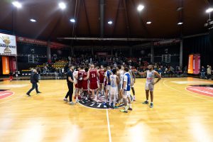 BEČ SE POJAČAO PRED CRVENU ZVEZDU: Novajlija dodatno osnažio tim!