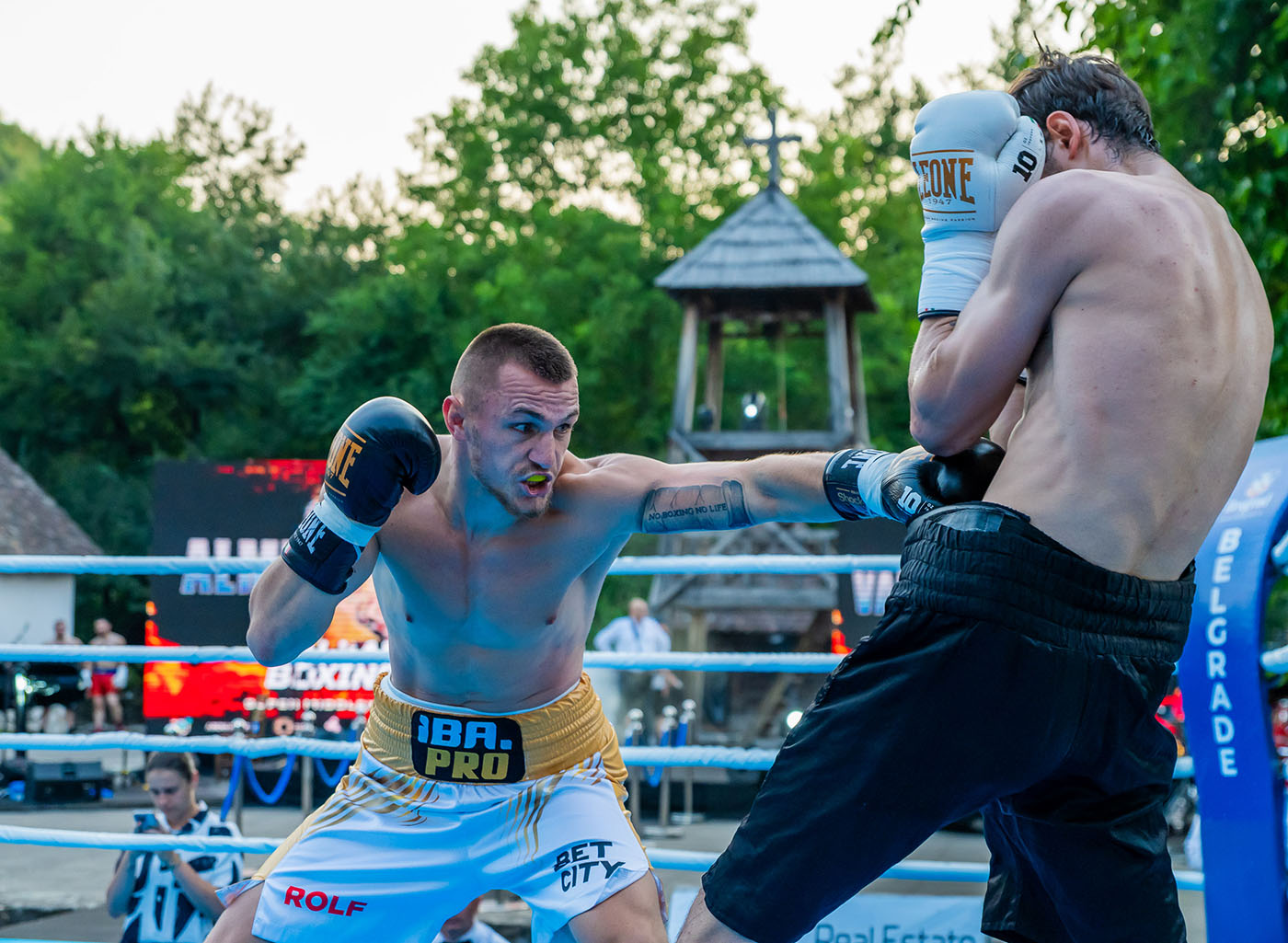 Almir Memic1 Almir Memic1