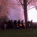 GORI NOVI BEOGRAD: Delije stigle u Arenu, jedna pesma će posebno razbesneti Grobare!