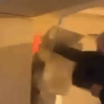 DIVLJACI IZ HOLANDIJE DEMOLIRALI STAN NA BALKANU:  Neprihvatljivo ponašanje ultrasa sa zapada, daleko veći divljaci od balkanskih uprkos predrasuda!