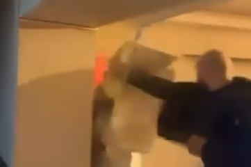 DIVLJACI IZ HOLANDIJE DEMOLIRALI STAN NA BALKANU:  Neprihvatljivo ponašanje ultrasa sa zapada, daleko veći divljaci od balkanskih uprkos predrasuda!