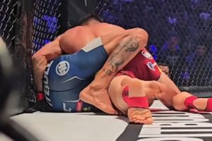 BRZ KAO EKSPRESNI VOZ: Janičić tehničkim nokautom u prvoj rundi odneo pobedu u meču večeri!