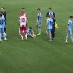 UŽASNE SCENE: Tuča na utakmici Crvene zvezde!