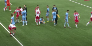 UŽASNE SCENE: Tuča na utakmici Crvene zvezde!