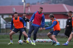 SRBIN SPASAVA BOSANCE: Džeko se u Beogradu oporavlja i sprema za Mundijal!