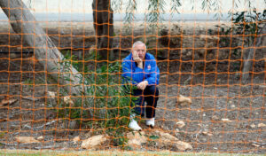 UF, KAKVA PROZIVKA ZVEZDE: Komšije, naš ekonom ima 10 trofeja više!