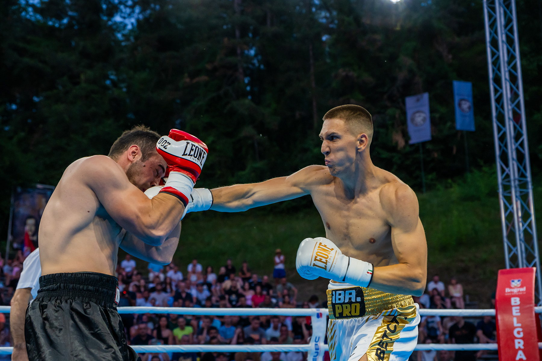 Rastko Simic2 (1) (1) Rastko Simic2 (1) (1)