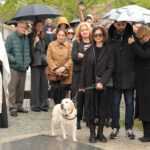 POSEBAN PRIJATELJ NAJVIŠE TUGUJE ZA POKOJNIM DULETOM: Pas proslavljenog trenera se ne odvaja od Duškovog sanduka!