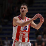 ŠTA ĆE BITI SA NEDOVIĆEM?! Zvezda ima scenario, ali je pitanje da li je i Nemanja u njemu!