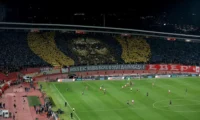 224481 zvezda lille 4472715 f