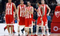 bjelica