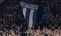 partizan, grobari